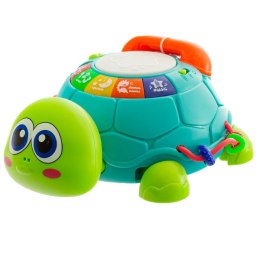 Zabawka raczkujący żółwik