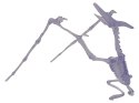 Świecący Szkielet Dinozaura Do Złożenia