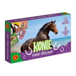 Domino obrazkowe Konie 2784 ALEXANDER