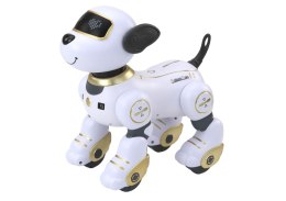 Robot Pies Interaktywny Zdalnie Sterowany Tańczy Wykonuje Polecenia Złoty