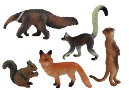 Figurki Zwierząt 5 Sztuk Wiewiórka Surykatka Mrówkojad Lis Lemur