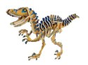 3D puzzle ' Velociraptor '