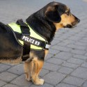 Szelki dla psa mocne S 50-60cm Police K9 odblask