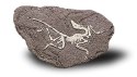 Bones&More, Duży szkielet dinozaura - wykopalisko na kamieniu
