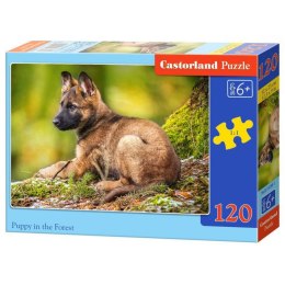PUZZLE 120EL. PUPPY IN FOREST