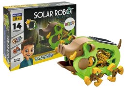 Edukacyjny Robot Do Złożenia Solarny Dzik DIY Zielony
